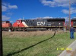 CN 3130